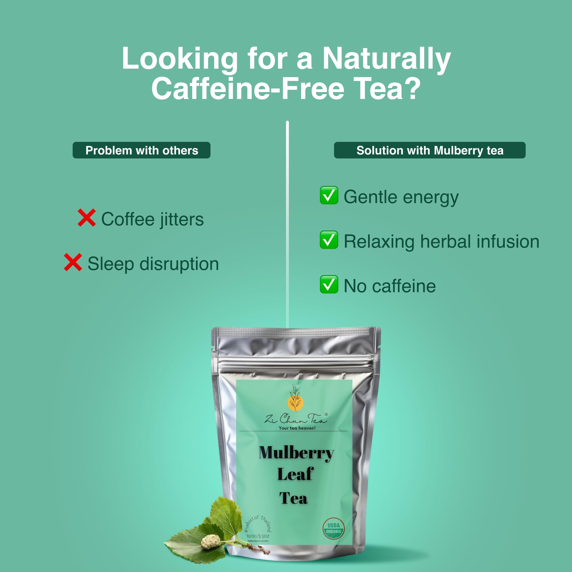 Zi Chun Tea | Organic White Mulberry Leaf Tea Morus alba | Premium Loose Leaf Herbal Tea, Whole Mulberry Leaves, Naturally Caffeine-Free, Herb Hoja de
