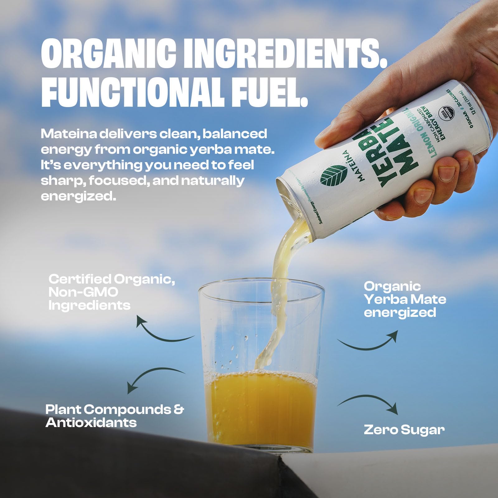 Mateina Organic Lemon Original Yerba Mate, 12 FZ