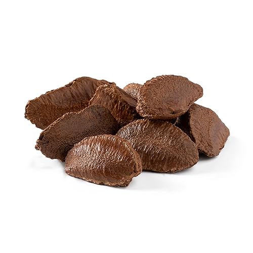 NUTS U.S. - Brazil Nuts In Shell | No Added Colors and No Artificial Flavors | Non-GMO and Natural | Fresh Buttery Taste and Raw | Pasteurized