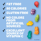 Bluey Fruit Flavored Snacks, Fat Free and Gluten Free Snacks, 8 oz (10 Pouches)