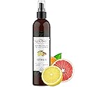 Before You Go Toilet Spray for Poop - 8 Oz Citrus Bathroom Freshener Long Lasting Toilet Deodorizer Poop Spray - Poo Spray Odor Eliminator - Travel