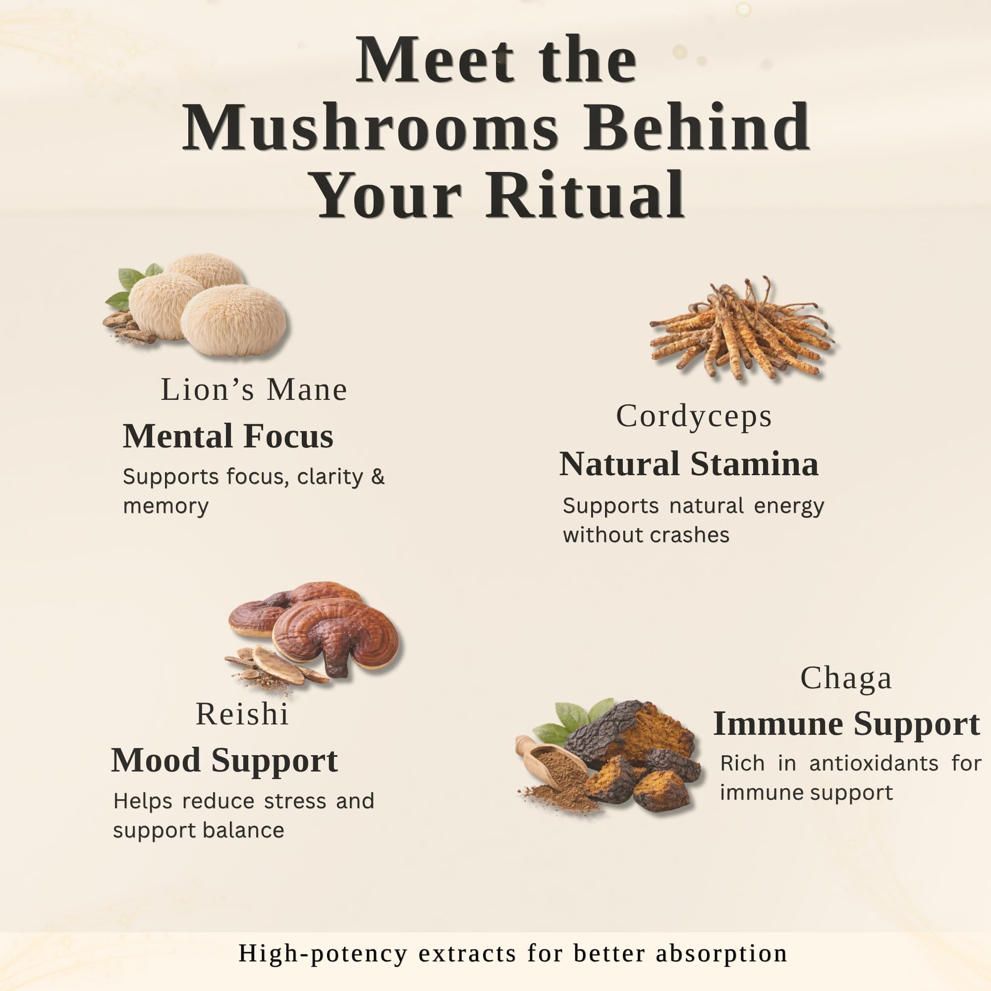 Immortal Mycelium Mushroom Vanilla Latte - Functional Mushroom Coffee Drink Mix with Cordyceps, Lion’s Mane, Reishi & Chaga, Creamy Instant Latte (15