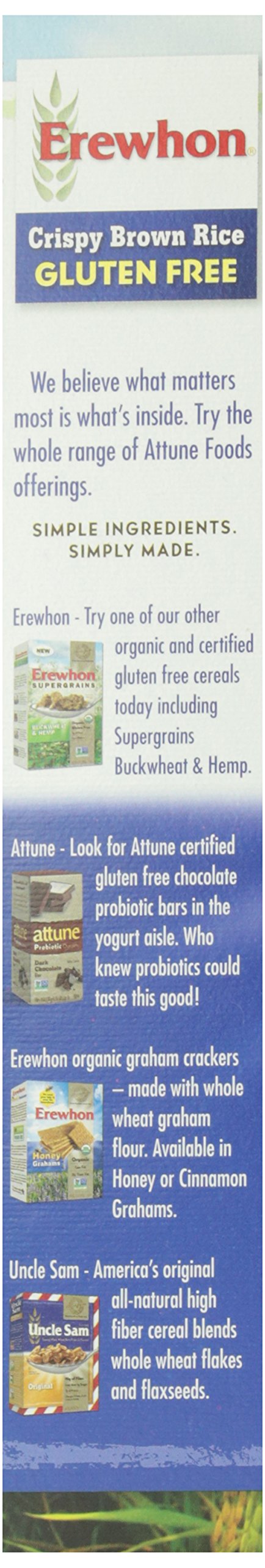 Erewhon Crispy Brown Rice Cereal, Gluten Free, Organic, 10 oz