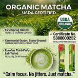 ZenRitual Organic Matcha Sticks, 20 Single Serve Packets, Ceremonial Grade Matcha Powder, USDA Organic, Unsweetened, for Lattes, Travel, Work & On the