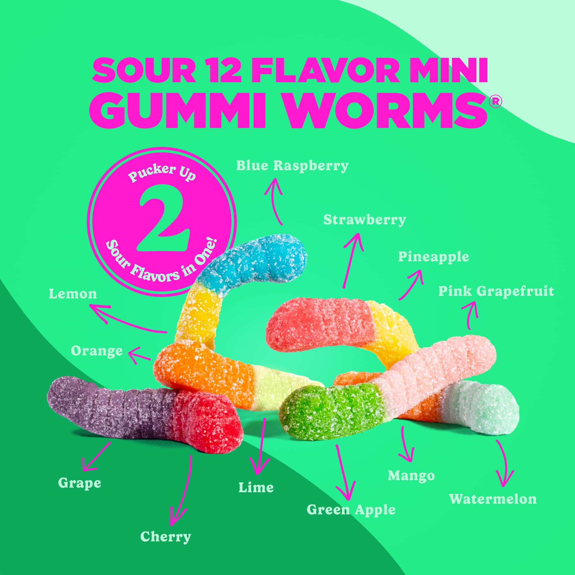 Albanese World's Best Sour 12 Flavor Mini Gummi Worms | 32oz Bag of Candy | 12 Unique Super Sour Flavors, Gluten Free, Fat Free, Soft and Chewy Gummy