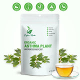 Astma Leaves Powder Euphorbia Hirta 100% Natural Dried Leaves Finely Ground Pure & Clean Culinary Grade No Additives or Preservatives