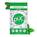 PUR Gum | Aspartame Free Chewing Gum | 100% Xylitol | Natural Spearmint Flavored Gum, 55 Pieces (Pack of 1)
