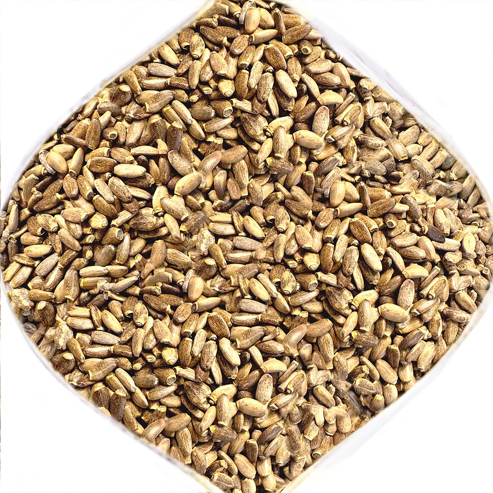 Siberian Green Milk Thistle Dried Whole Seeds Tea 340g (12 oz) Clean Caffeine-Free Harvest Botanical Silybum marianum