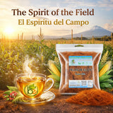 Barbas de Elote Herbal Tea (Cornsilk Tea) - 4 oz Loose Leaf - 100% All-Natural, Wildcrafted, Non-GMO, Gluten-Free - Authentic Mexican Herbal Tea