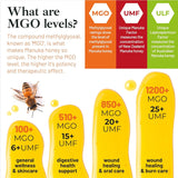 Good Natured Manuka Honey (MGO 850+) - High Grade Raw Manuka Honey Medical Grade, Non-GMO, Lab-Tested & AMHA Certified, BPA-free, 8.8 oz