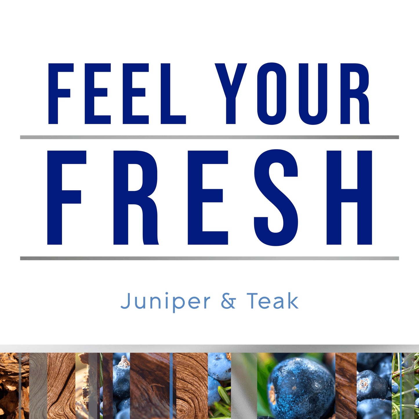Glade PlugIns Refills Air Freshener, Scented and Essential Oils for Home and Bathroom, Juniper & Teak, Fresh Collection 3.35 Fl Oz, 5 Count
