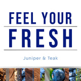 Glade PlugIns Refills Air Freshener, Scented and Essential Oils for Home and Bathroom, Juniper & Teak, Fresh Collection 3.35 Fl Oz, 5 Count