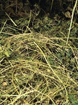 Cerasee Tea Wild Harvested Jamaica | Bitter Melon Vine | Momordica Charantia | Wildcrafted Caribbean Bitter Herb | Rastaman Stew