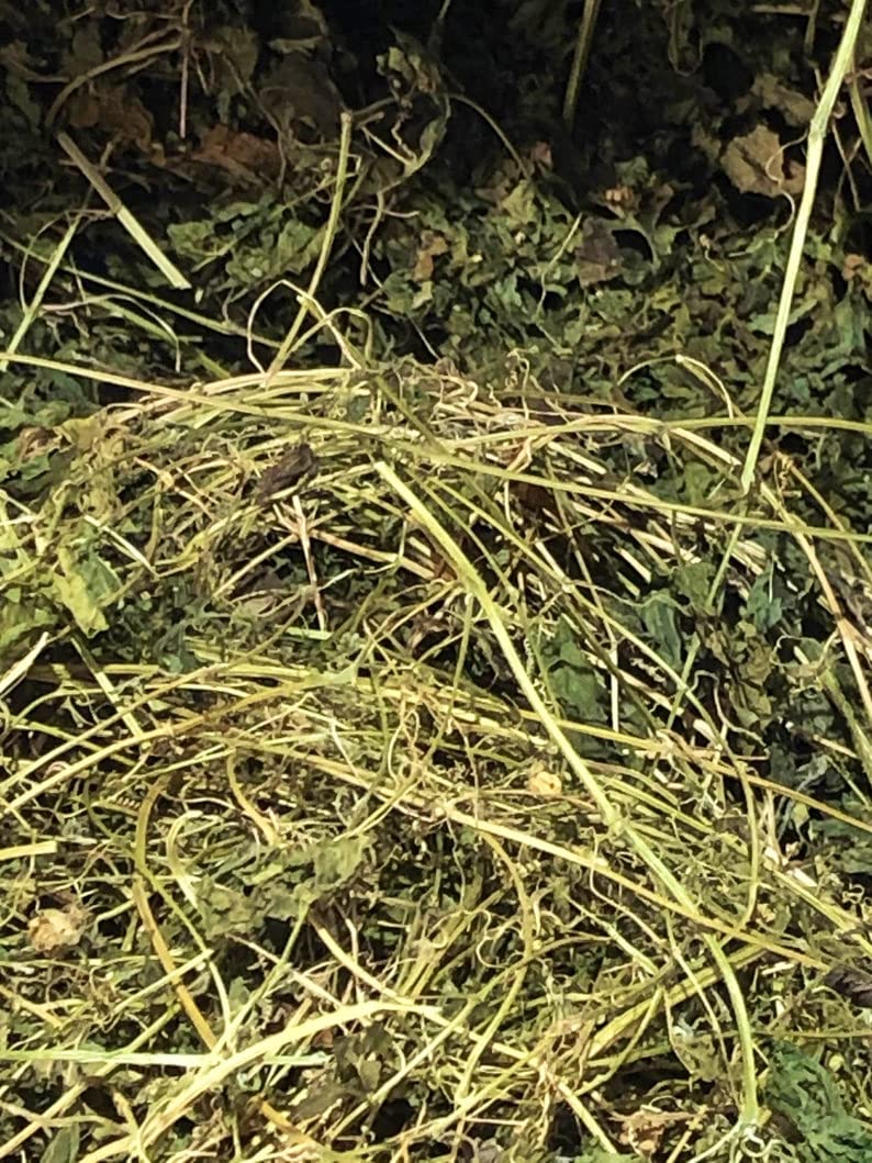 Cerasee Tea Wild Harvested Jamaica | Bitter Melon Vine | Momordica Charantia | Wildcrafted Caribbean Bitter Herb | Rastaman Stew