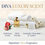 Tyler Diva Laundry Detergent 64 oz - Tyler Candle Company Diva Wash Laundry Detergent with Stain Remover Pen and Dryer Sachet - Hand and HE Machine