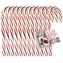 KANDYRIFIK CANDY CANES Peppermint Flavored | Red & White Stripes Individually Wrapped | Creative Idea Booklet Included (80 COUNT)