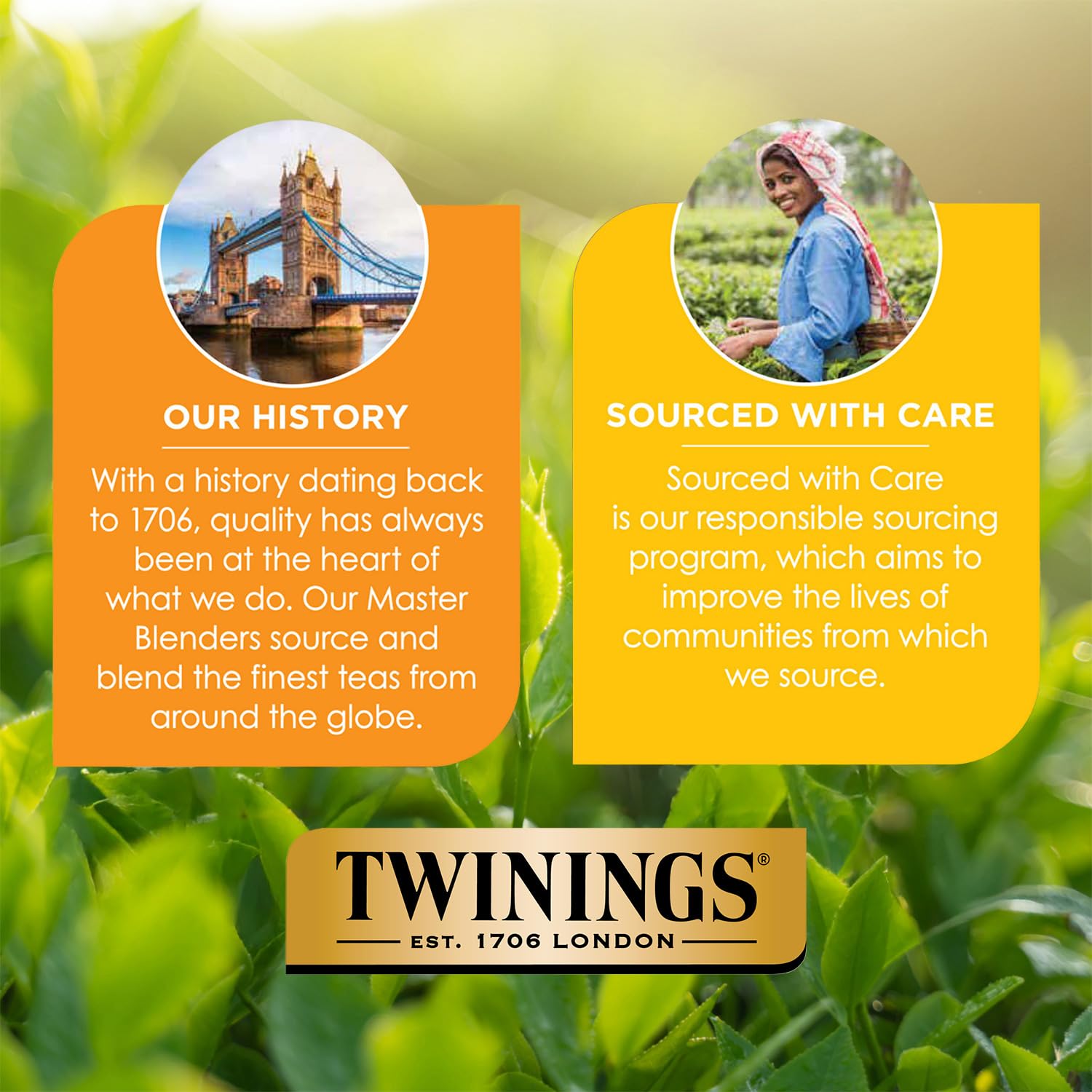 Twinings Strawberry & Raspberry Unsweetened Iced Tea 2-Pack - Oversized Herbal Teas, 72 Bags Per Box