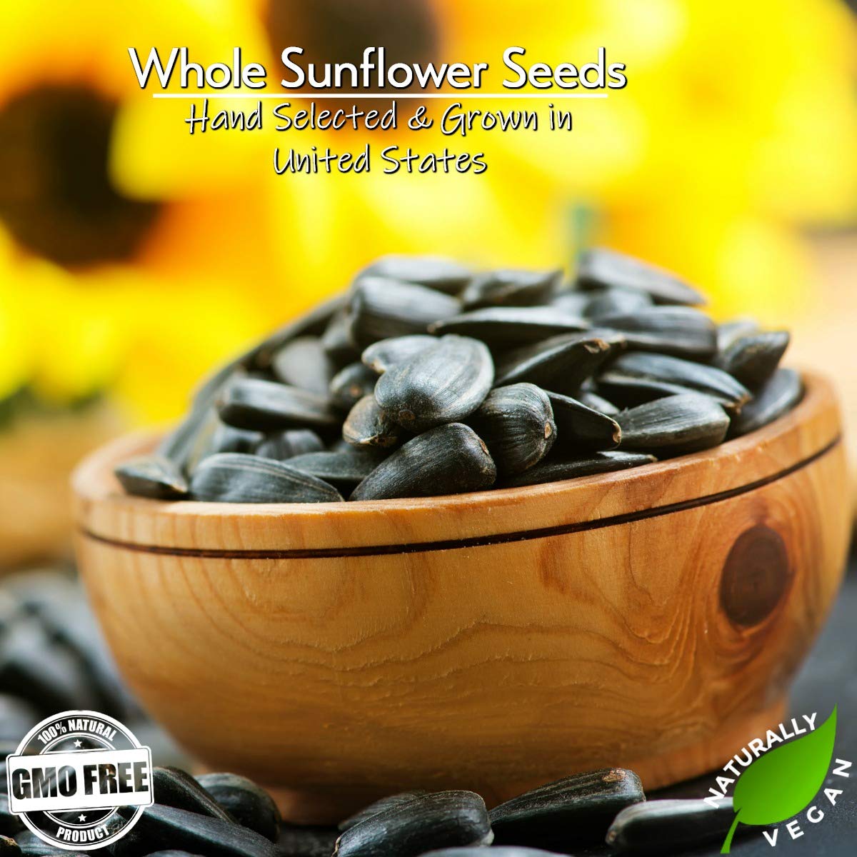 Gerbs Jumbo Raw Whole Sunflower Seeds 2 lbs. | No Artificial Additives, Shell-On, Resealable Bag | Crack-and-Eat Crunchy Snack | Top 14 Allergen-Free