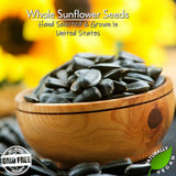 Jumbo Unsalted Sunflower Seeds In Shell by Gerbs - 2 LBS - Top 14 Food Allergen Free & NON GMO - Premium Dry Roasted Whole Sunflower Seed