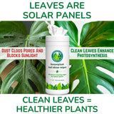 Houseplant Leaf Shine & Cleaner Wipes | Removes Dust, Dirt & Water Spots for Healthier, Glossy Leaves | Easy-to-Use Natural Leaf Cleaning Wipes