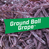 Big League Chew Ground Ball Grape Bubble Gum - Juicy Grape Flavor Explosion | Ideal for Baseball Games, Teams, Concessions, Parties, and More | Pack