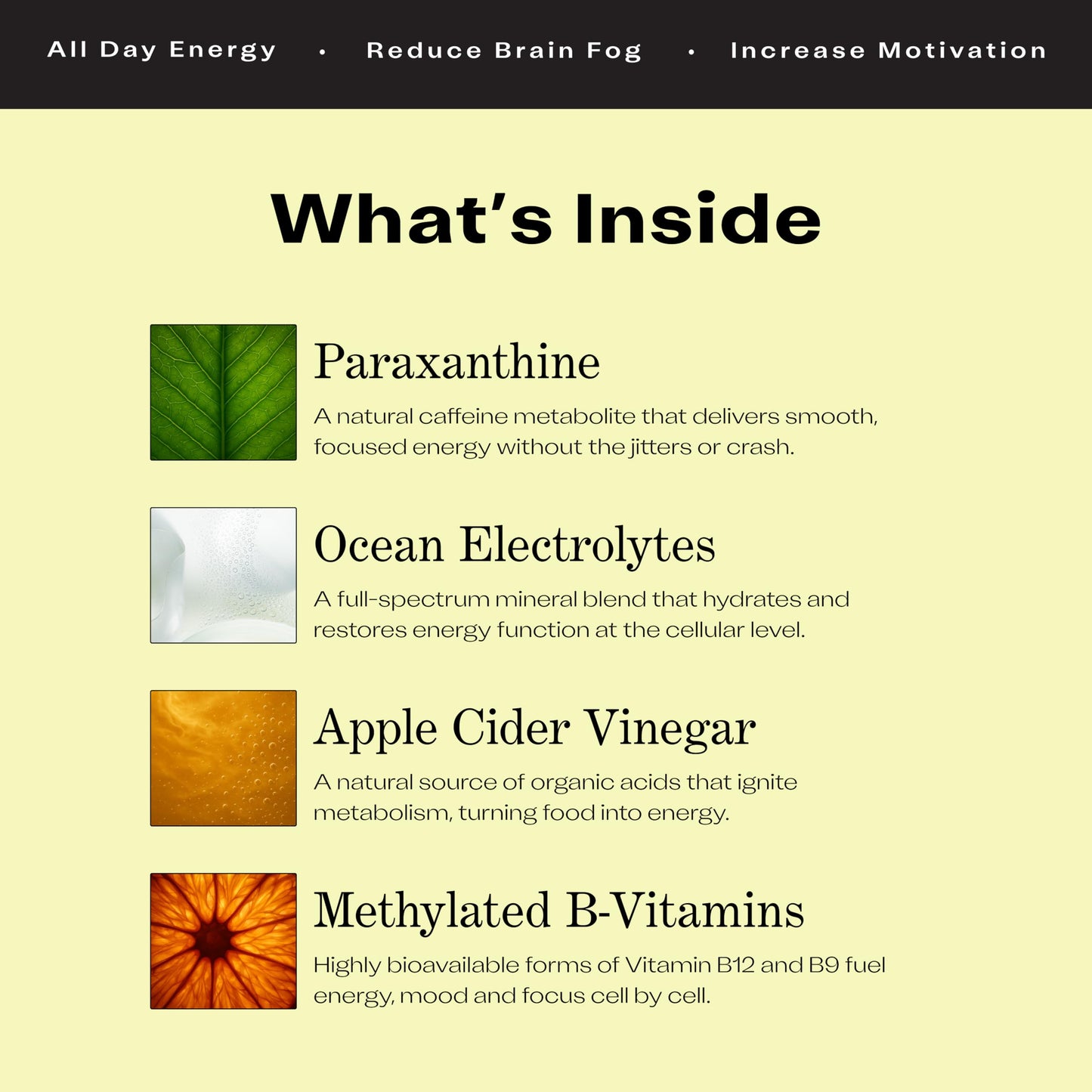 Energy Supplement for Focus & Performance | Paraxanthine with Electrolytes, B-Vitamins & Apple Cider Vinegar | No Jitters, No Crash | Zero Sugar