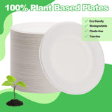 Eco-friendly 200 Pack Disposable Paper Plates, 100% Compostable & Biodegradable, Heavy-Duty Sugarcane Plates for Party, Picnic (8in)