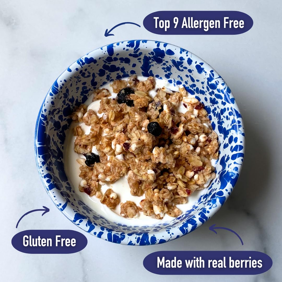 Safe + Fair All American Granola - Gluten-Free & Vegan Snack - Whole Grain Oats with Real Strawberries, Blueberries, and Cranberries - Non-GMO