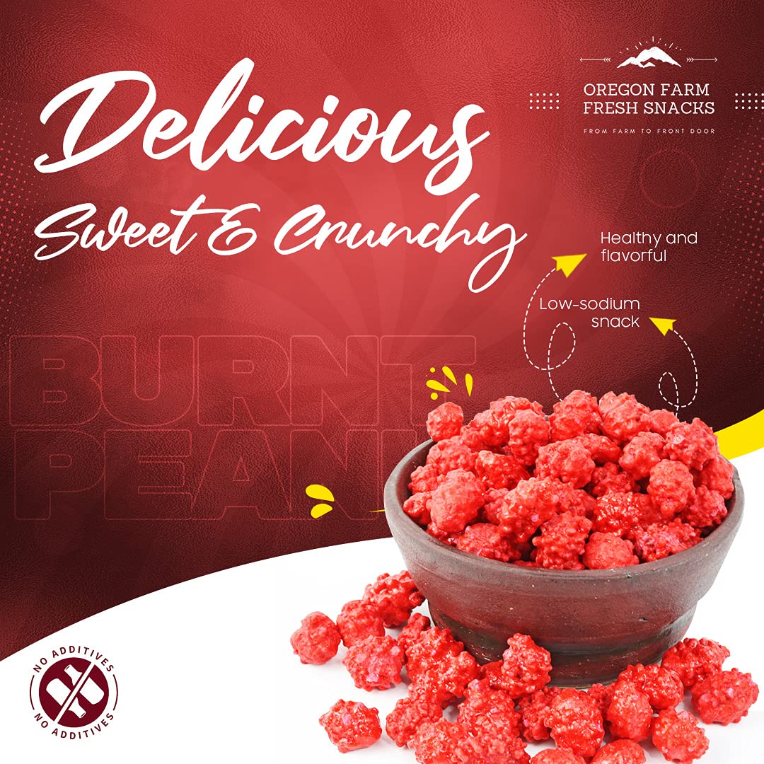 Oregon Farm Fresh Snacks French Burnt Peanuts - Classic Old Fashioned Sweet and Salty Crunchy Spanish Snack - Bulk Red Candy for Candy Jar or Snacking