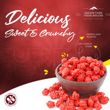 Oregon Farm Fresh Snacks French Burnt Peanuts - Classic Old Fashioned Sweet and Salty Crunchy Spanish Snack - Bulk Red Candy for Candy Jar or Snacking