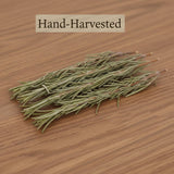 DYBOEDYO Dried Whole Rosemary Sprigs, 3.53oz(100g), 50~70 Rosemary Fresh Sprigs, Grade Dried Rosemary Sprigs for Baking & Beverages, Spices