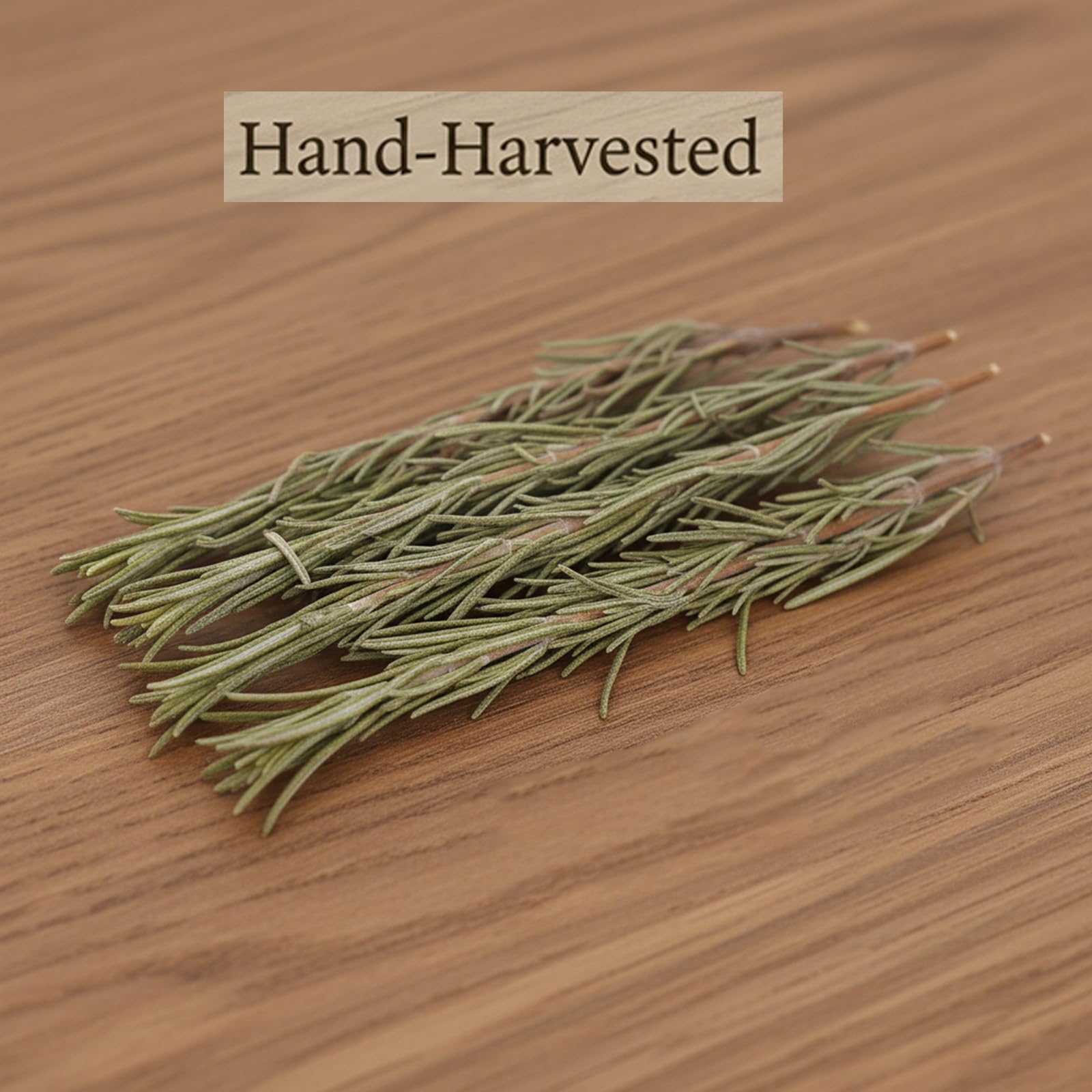 DYBOEDYO Dried Whole Rosemary Sprigs, 3.53oz(100g), 50~70 Rosemary Fresh Sprigs, Grade Dried Rosemary Sprigs for Baking & Beverages, Spices