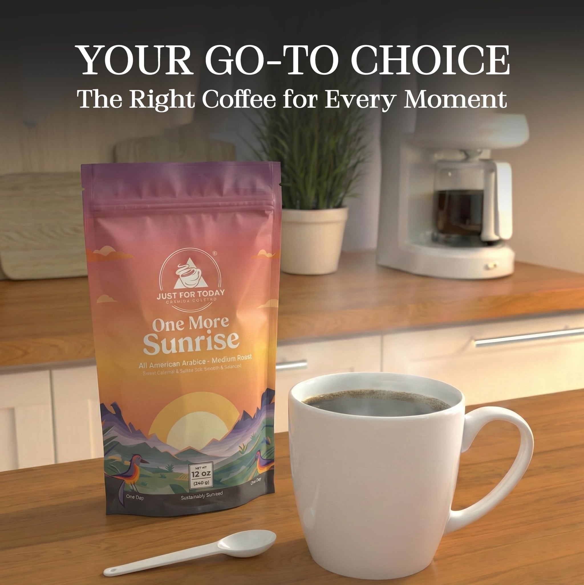 Just for today Gourmet coffee All American Blend, Medium Roast, 100% arabica 12oz (Pack of 1)