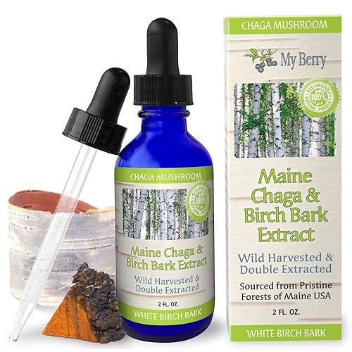 My Berry Maine Chaga Mushroom & Birch Bark Extract Liquid | 2oz | Wild Harvested & Double Extracted | USA & Canadian Grown Chaga