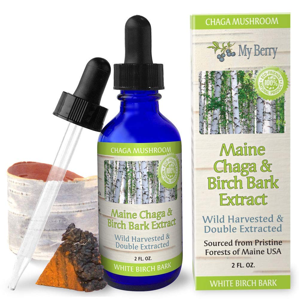 My Berry Maine Chaga Mushroom & Birch Bark Extract Liquid | 2oz | Wild Harvested & Double Extracted | USA & Canadian Grown Chaga