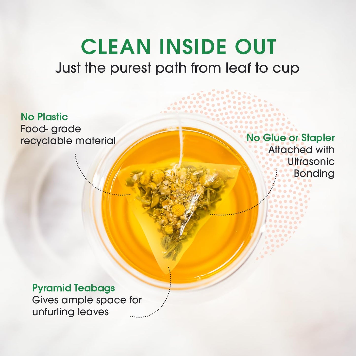Teabox Green Tea Sampler Bags | 100% Natural I Immunity Boosting Sampler Pack | USDA Certified Organic Green Tea (20 Count (Pack of 1))