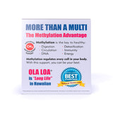 Ola Loa Energy Cran-Raspberry Multi Vitamin Drink Mix - Amino Energy Powder, Gluten Free, Detox, Dairy Free, Caffeine Free - Drink Your Vitamins