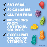 Bluey Fruit Flavored Snacks, Fat Free and Gluten Free Snacks, 17.6 oz (22 Pouches)
