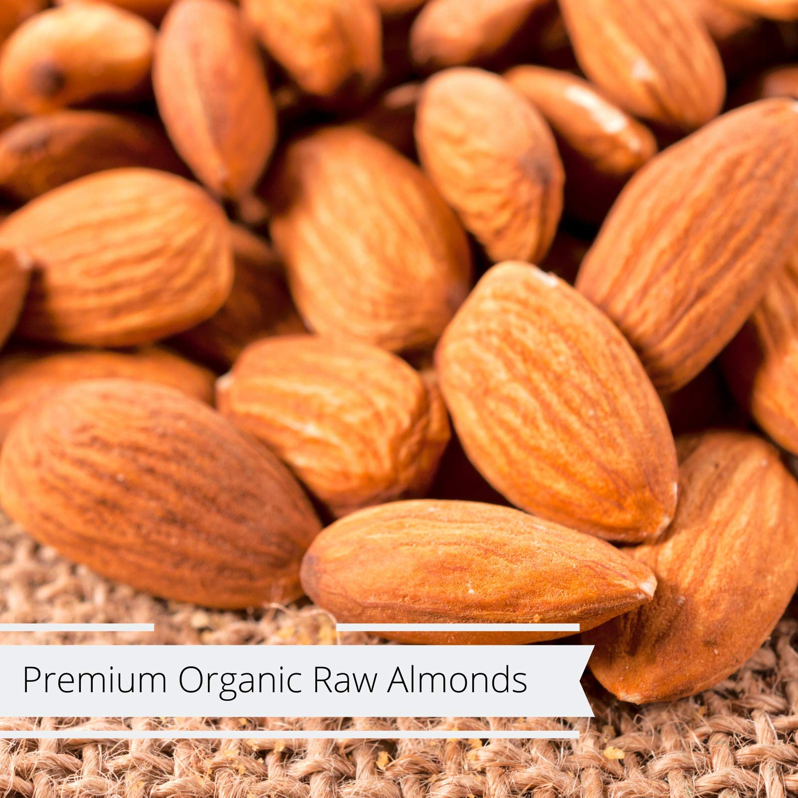 Gourmet Whole Raw Almonds by Its Delish Bulk (2 lbs)