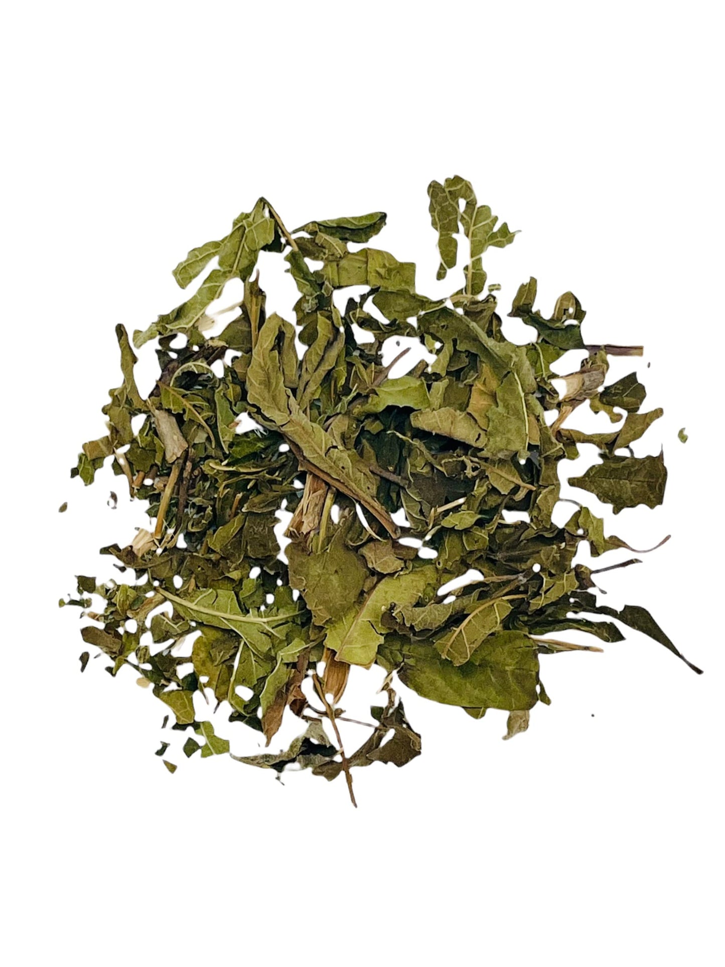 Tronadora Tea 3 oz, Yellow Elder, Resealable Bag, Tronadora Herb, Tronadora Retama, Tecoma Stans