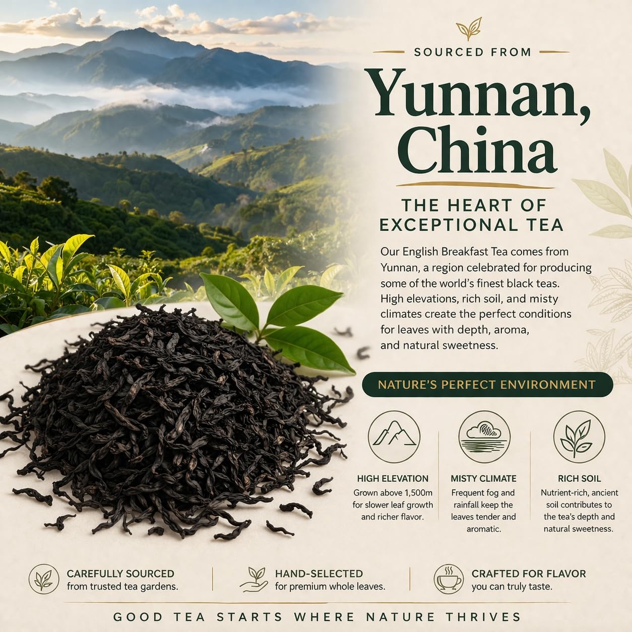 Organic English Breakfast Black Tea - High Mountain Yunnan Whole Leaf Tea - Bold, Smooth & Full-Bodied Morning Tea - 1 lb (454g) Bulk Loose Leaf