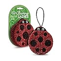 Genuine Fred Cleaning Ladies Ladybug Sponges, Set of 2 Scrubber Sponges, Gentle on Cookware, Tough on Grime, Corded Loop for Easy Drying, Fun
