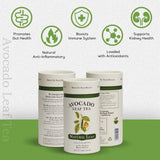 Avocado Leaf Tea - Caffeine-Free Herbal - Smooth, Antioxidant-Rich Wellness Tea - Hot or Cold Brew - All Natural, Non-GMO - 15 Biodegradable Pyramid