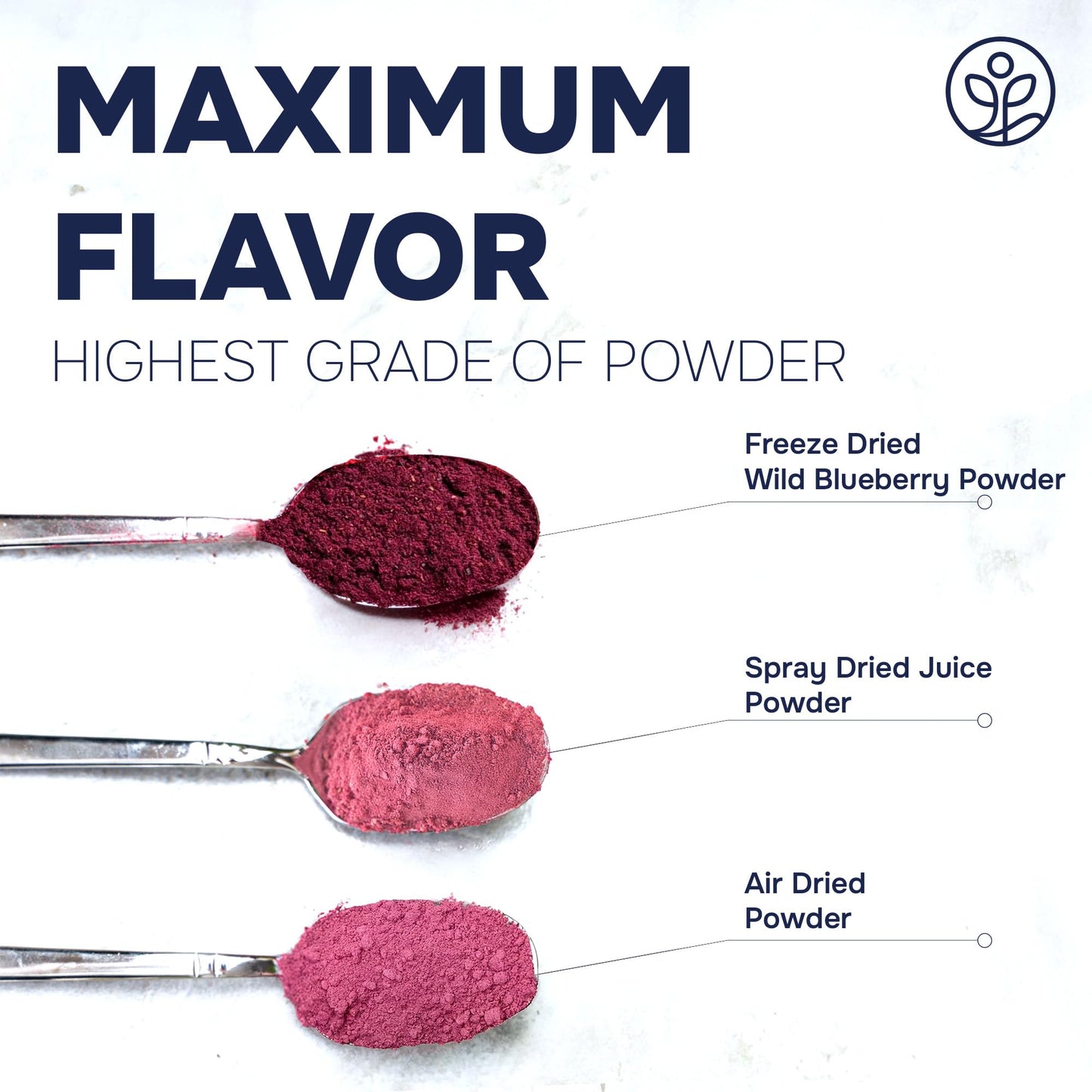 Jungle Powders Freeze Dried Wild Blueberry Powder 3.5 Ounce Bag Blueberry Powder For Smoothies Baking Extract Nordic Freeze Dried Blueberries No Sugar