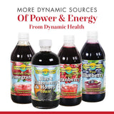 Dynamic Health Organic Beetroot SuperRoot 100% Juice Concentrate | No Additives, Unsweetened, Vegan, Non-GMO | 16oz, 16 Serv