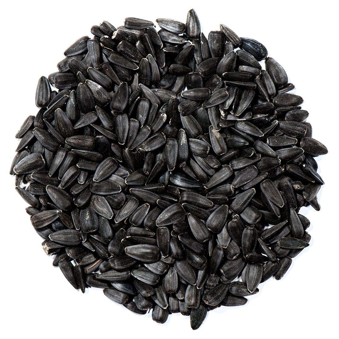 Nature's Nuts Premium Black Oil Sunflower Seed - 10 lb.