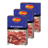 Shan - Natural Meat Tenderizer Powder - Papaya Based Seasoning Mix, 1.4 oz (40g) (Pack of 3)