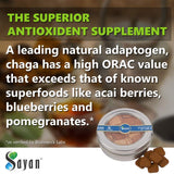Sayan Siberian Evening Instant Chaga Mushroom Tea with Peach Leaf & Fir Needle Extract (30 Pcs)-Wild-Harvested Premium Blend- Natural Antioxidant