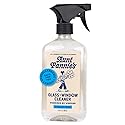 Aunt Fannie's Glass & Window Cleaning Vinegar Spray, Natural Streak-Free Spray, 16.9 Ounces (Pack of 1)