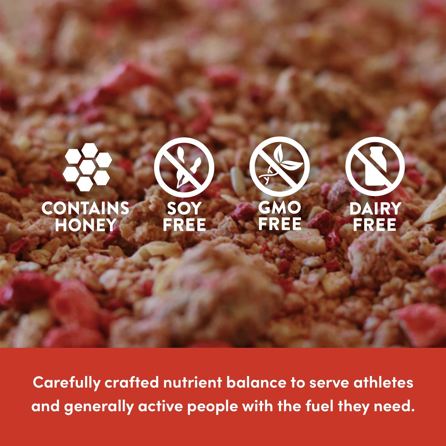 Picky Bars Performance Protein Granola, Gluten Free, Non-GMO, Non-Dairy, PB&J All Day, 10.6 Oz Bag (10 Servings)